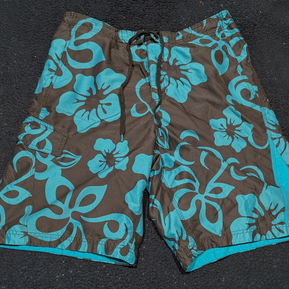 Speedo Teal and Charcoal Swim Shorts